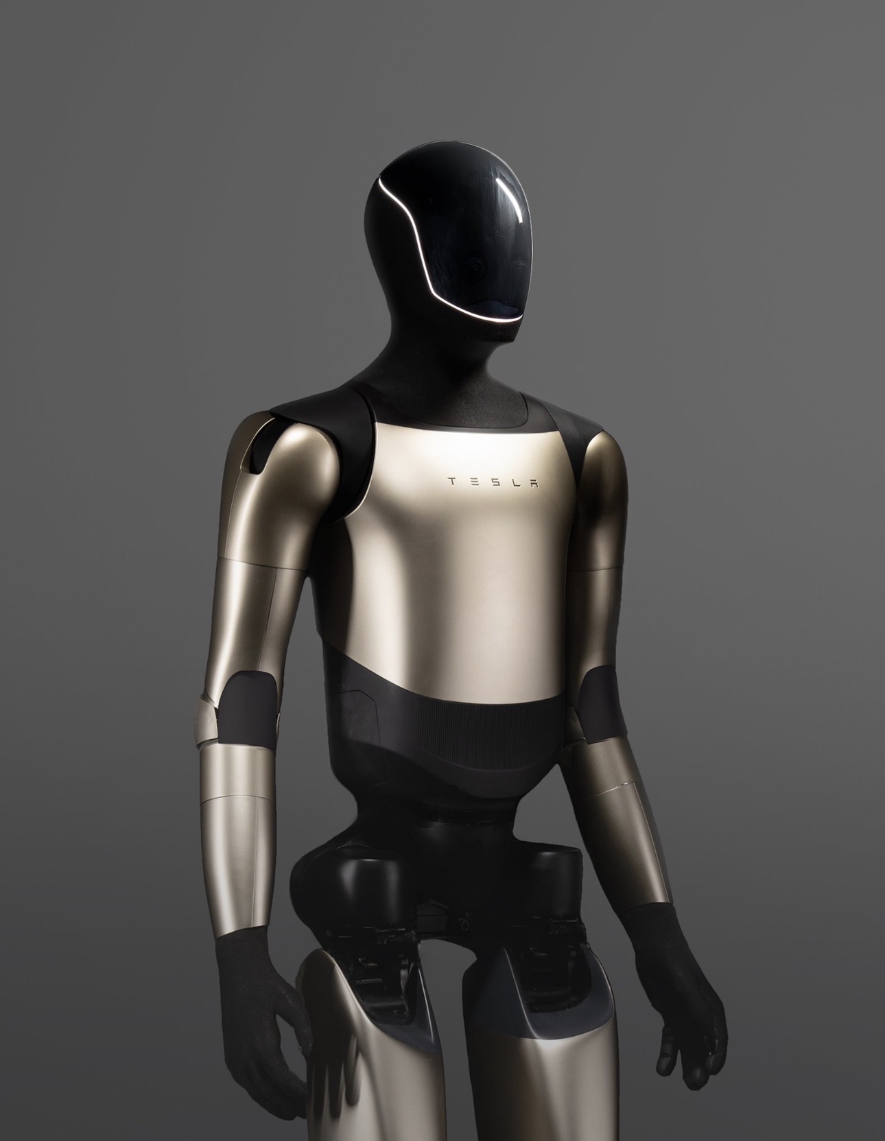 Tesla Optimus Robot - View 2